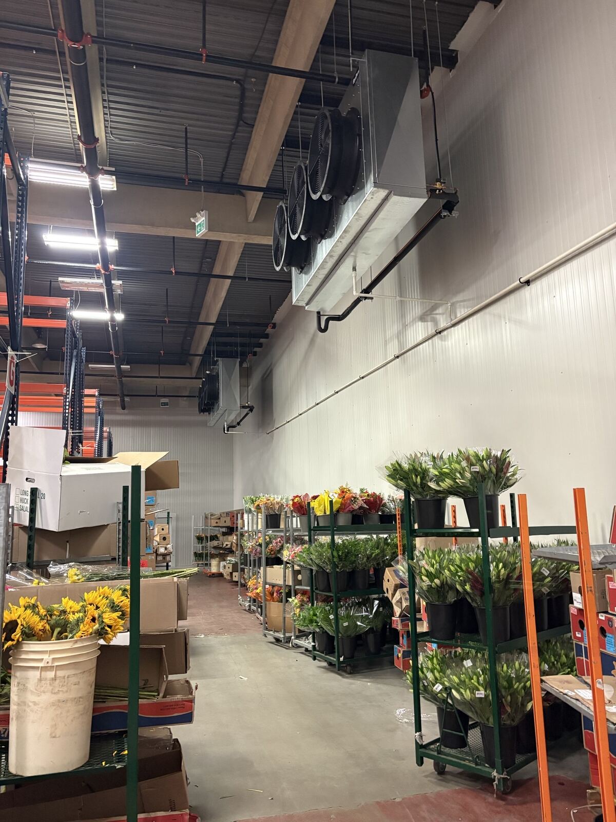 Flower cooler evaporators